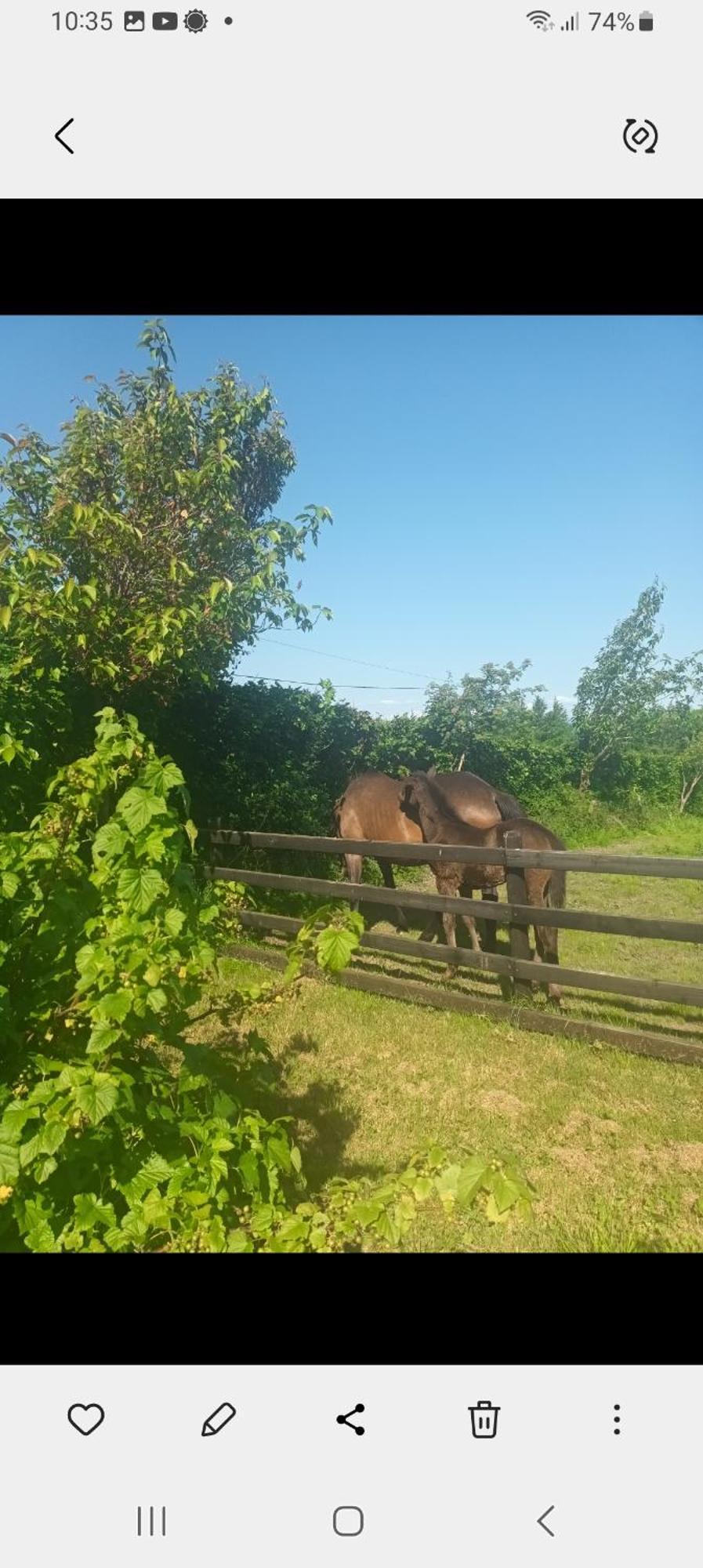 Charming Country Homestead Kilkenny Ngoại thất bức ảnh